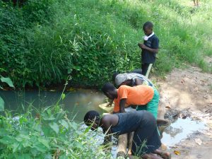 Sanitation and Health Care